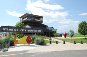 Atlantic city Aquarium - Things To Do in Atlantic City